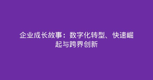 企业成长故事：数字化转型、快速崛起与跨界创新-企富蓝图