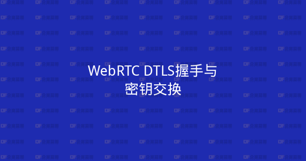 WebRTC DTLS握手与密钥交换-企富蓝图