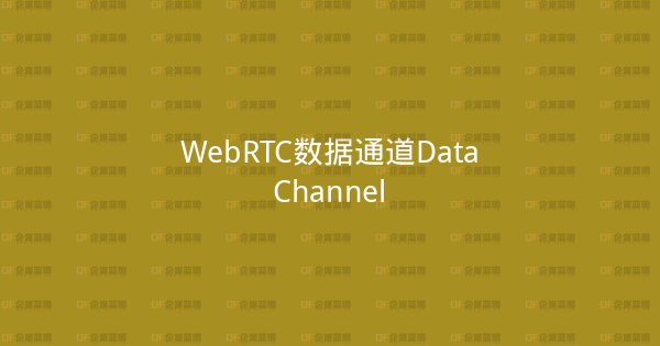 WebRTC数据通道DataChannel-企富蓝图